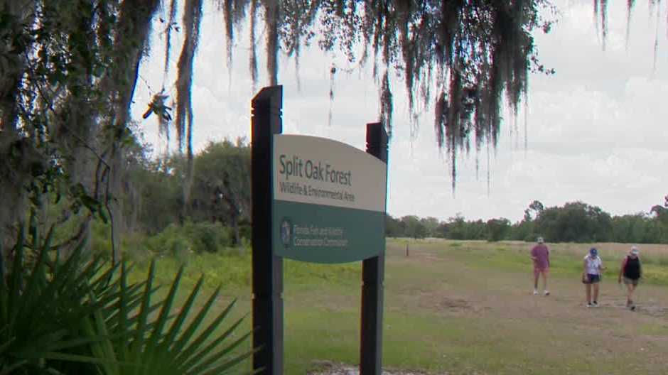Osceola parkway extension raises concern about environment impact