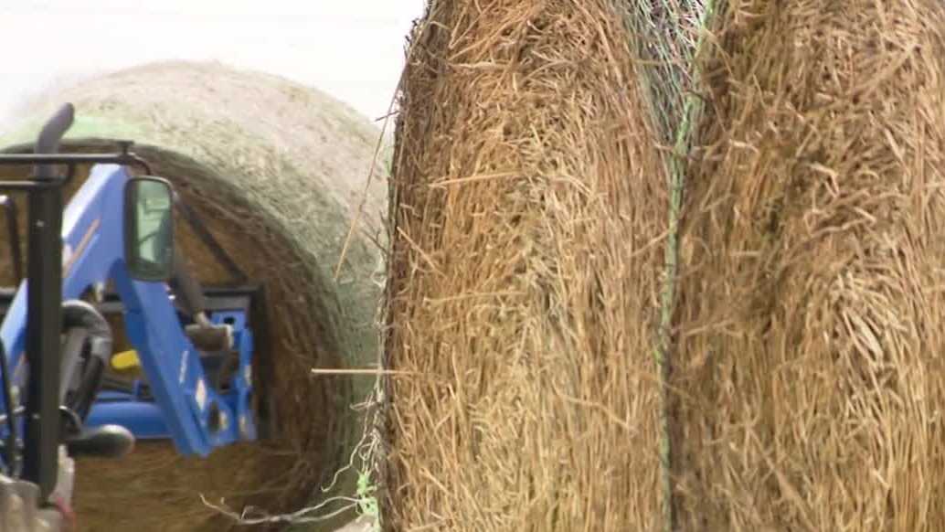 Local company initiates help for Nebraska farmers impacted by the wildfires