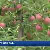 New Hampshire farms prepare for fall, picking season