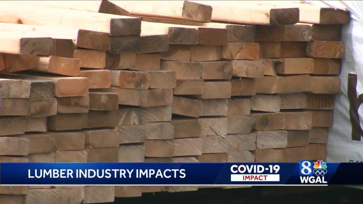 Lumber prices drop after hitting high during pandemic