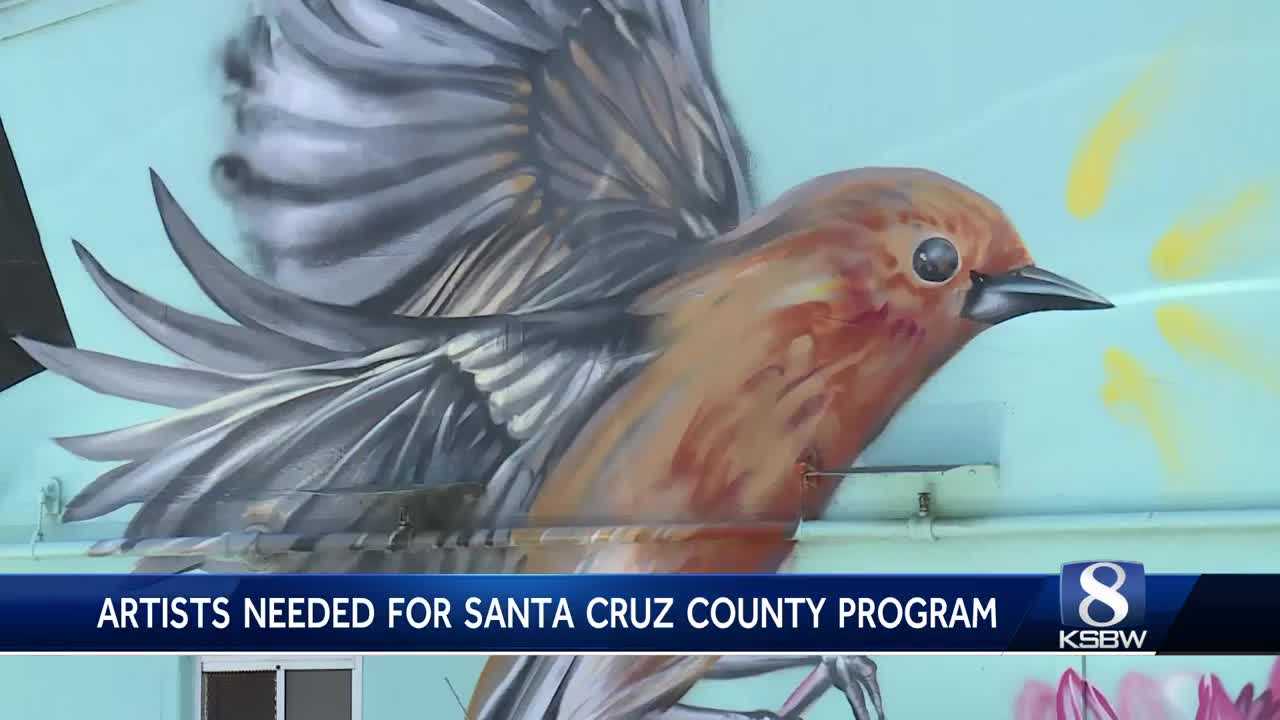 Santa Cruz County looking to commission artist to beautify