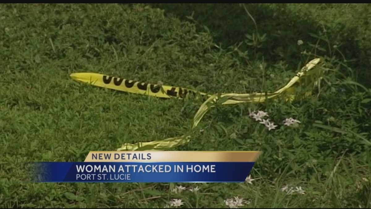 Woman Pistol Whipped During Home Invasion 7405