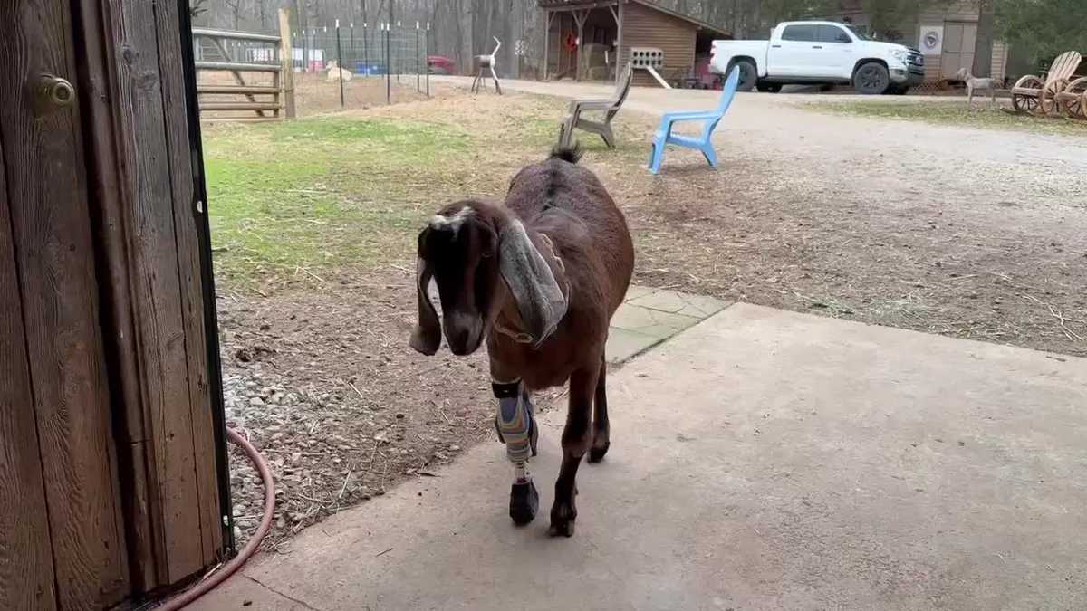 Watch: Videos you may have missed this week