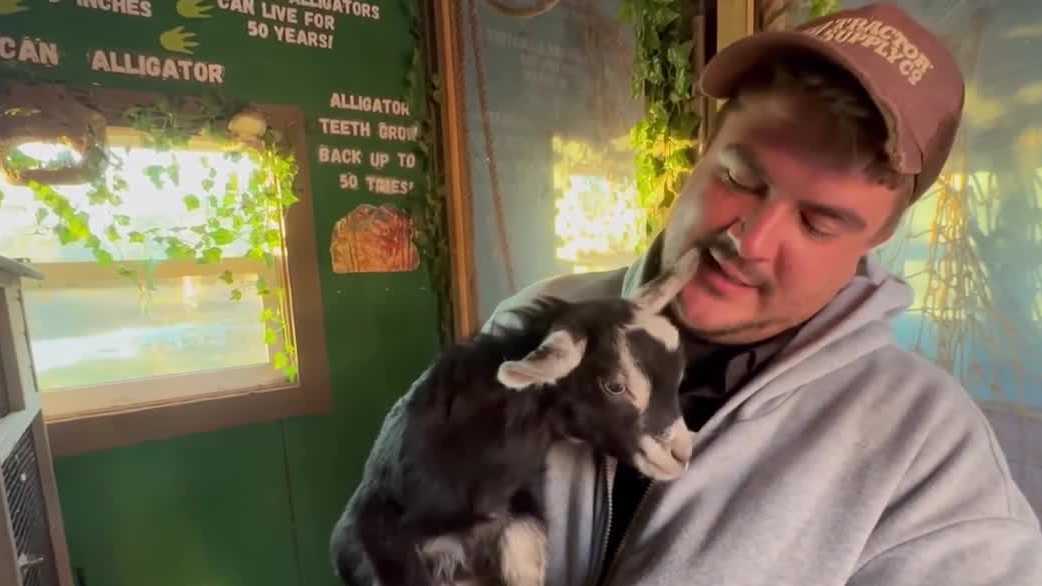 Citrus farmers in Clermont prepare for hard freeze in Florida