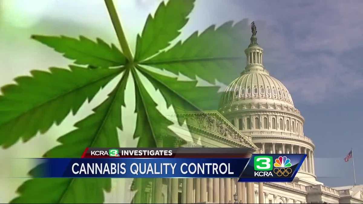 Cannabis quality control Is California ready?