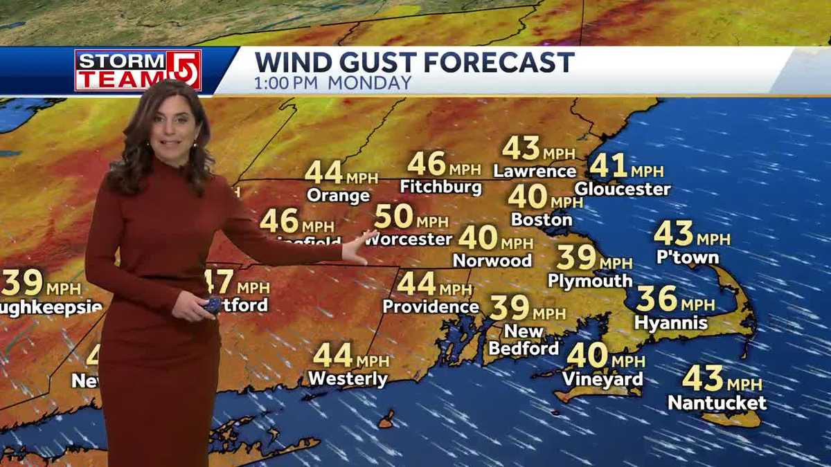 Video: Wind gusts up to 50 mph possible