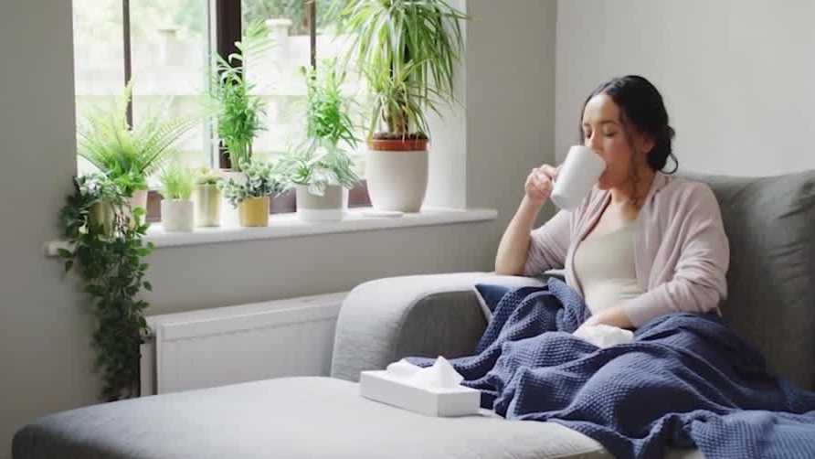 Home remedies can help ease cold symptoms