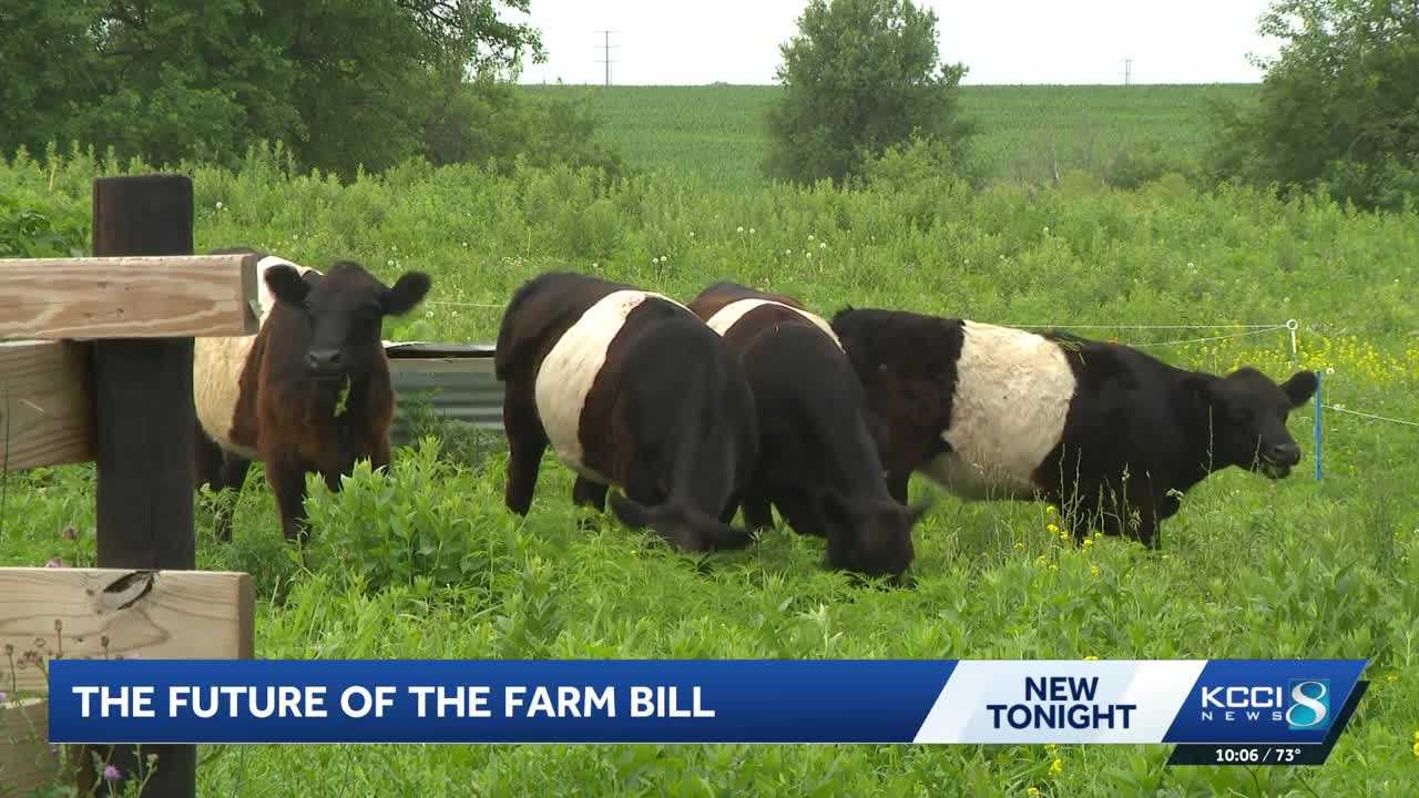 kcci.com - Abigail Kurten - Central Iowa farmer and legal expert break down proposed farm bills