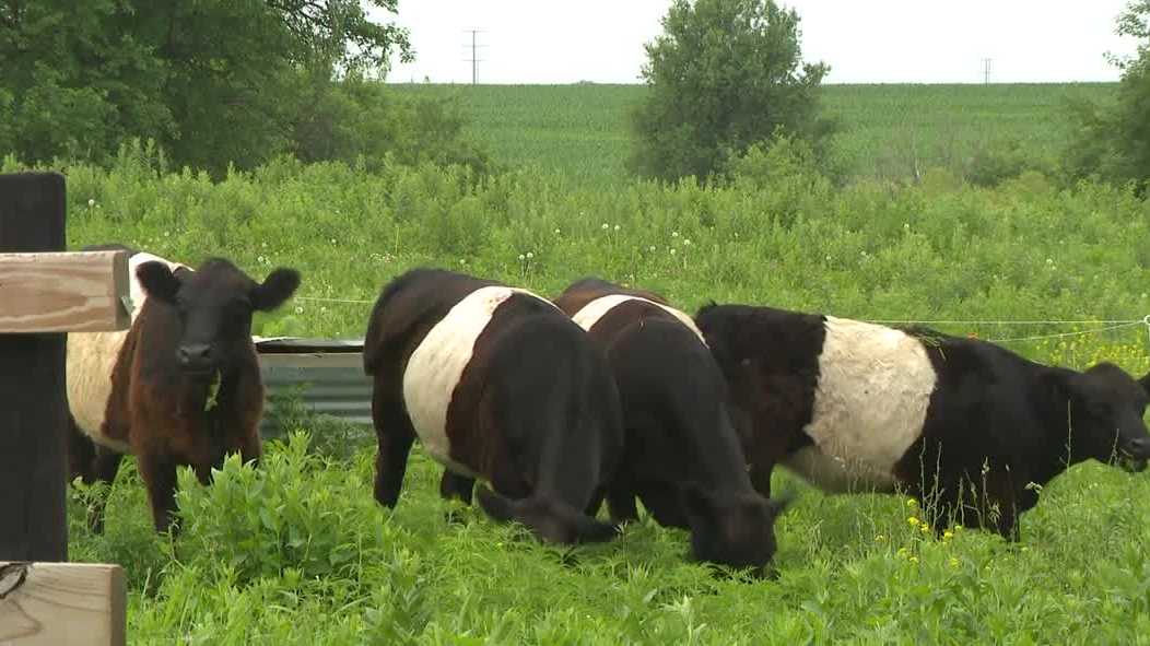 Central Iowa farmer and legal expert break down proposed farm bills