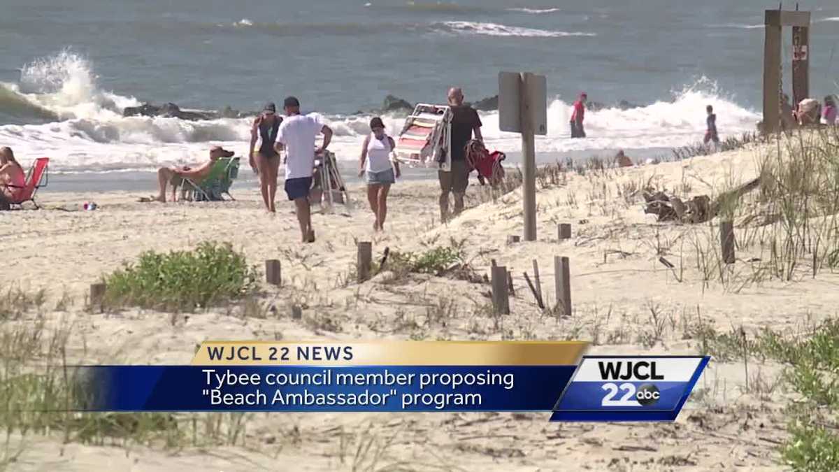 Tybee city council approves 