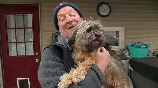 'The dog was screaming': Man fights off coyote who attacked 3-year-old dog - Vimarsana News