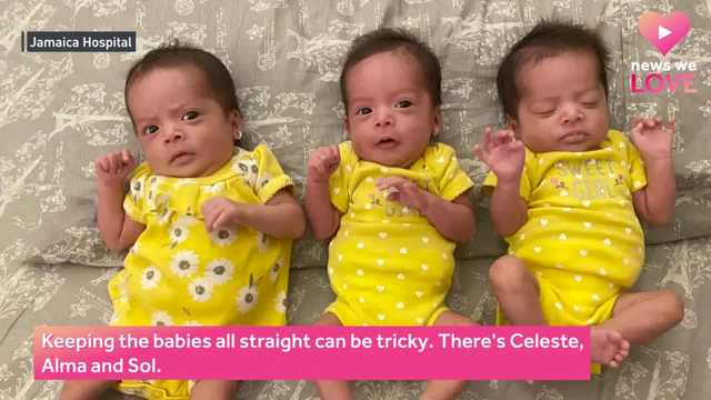 NYC hospital delivers 2 sets of triplets born 2 days apart - Vimarsana News