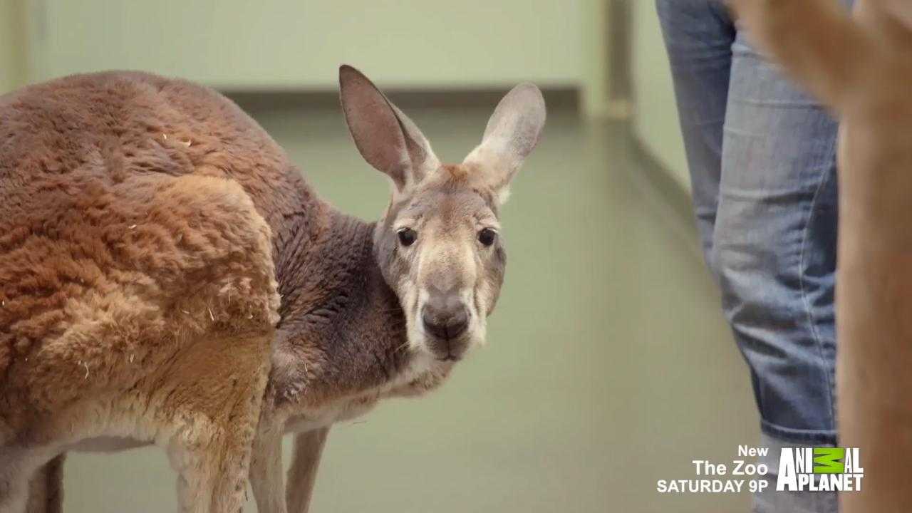 db6863cb-3b6f-4c25-a017-