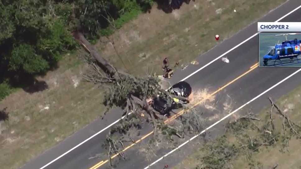 Falling tree that killed driver was on federal land, Sumter County says