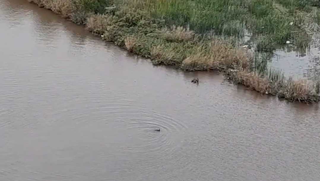 Bodycam video shows police chase moving from road to river - KOCO