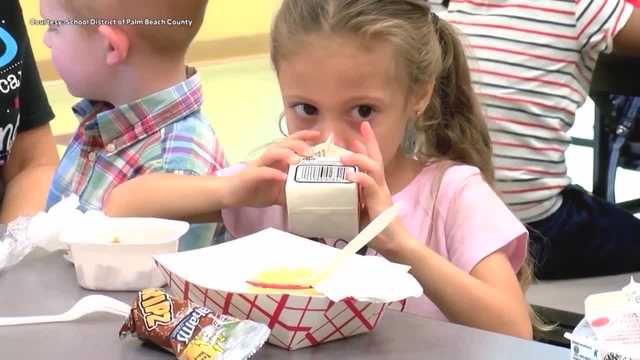Florida nonprofits fighting hunger during and after school - Vimarsana News