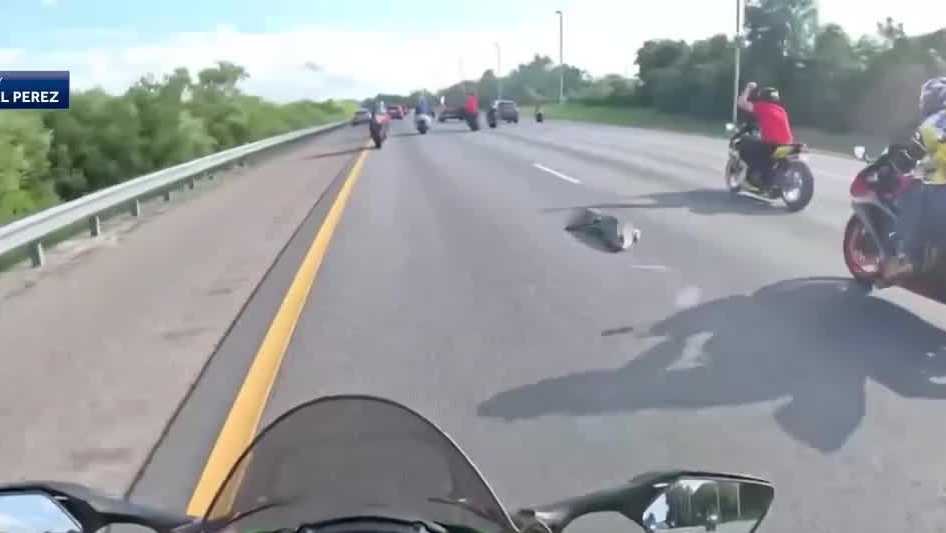 Gator on Florida's I-4 causes motorcycle riders to crash