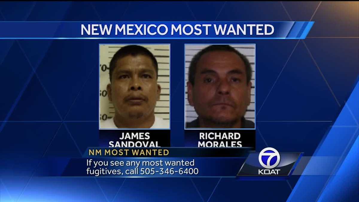 Video New Mexico Most Wanted