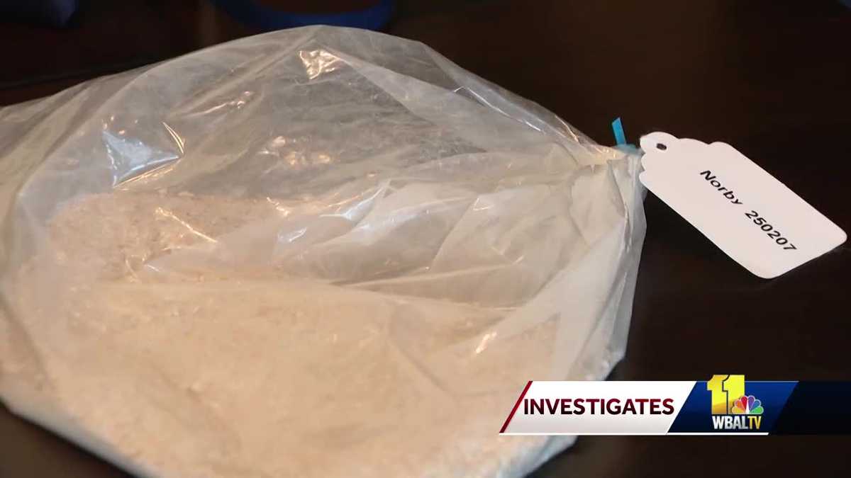 Effort underway to identify whether pets’ ashes are legit Effort underway to identify whether pets’ ashes are legit