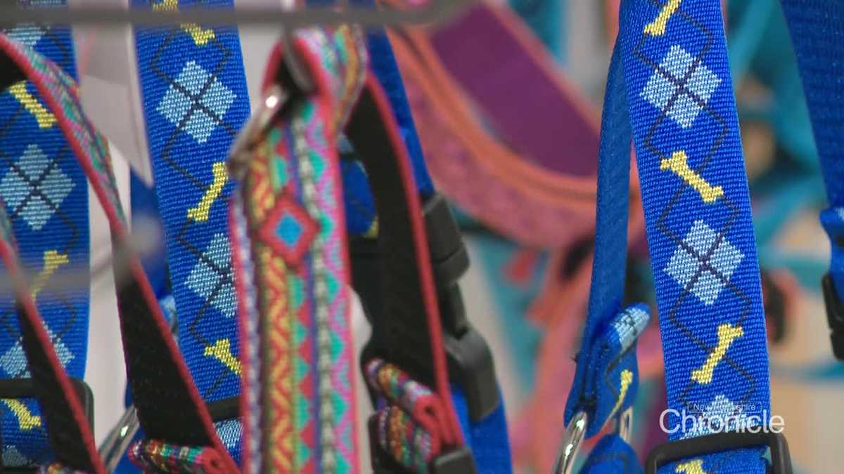 Made in New Hampshire: Company handcrafts vibrant pet collars loved worldwide