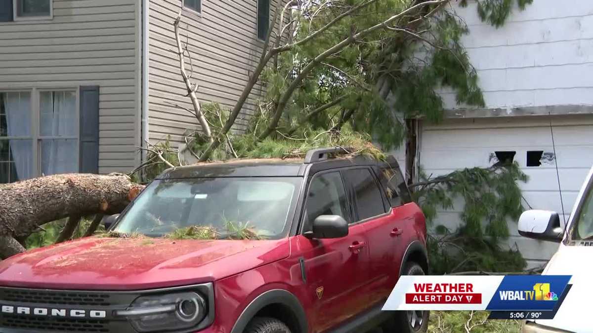 Pasadena cleanup continues after weekend microburst  damage