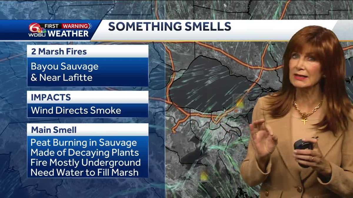 Marsh fires!