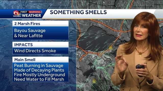 Marsh fires! - Vimarsana News