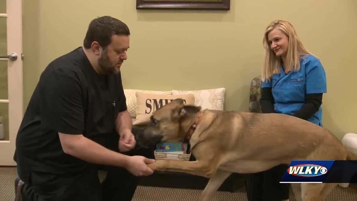 Louisville veterinarian wins 50,000 for local shelter