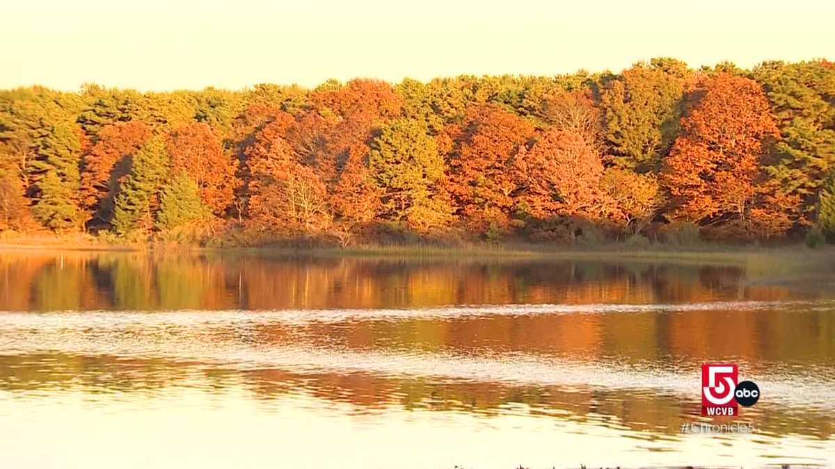 Where to visit in the Falmouth village of Waquoit and the international