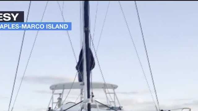 Bear on a yacht in Naples caught on video - Vimarsana News