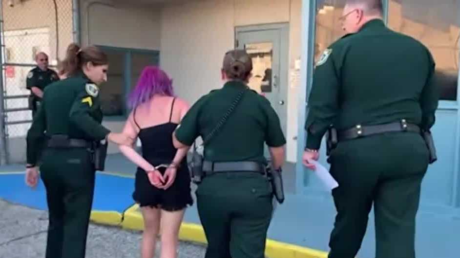 Brevard woman arrested for leaving pets in hot car