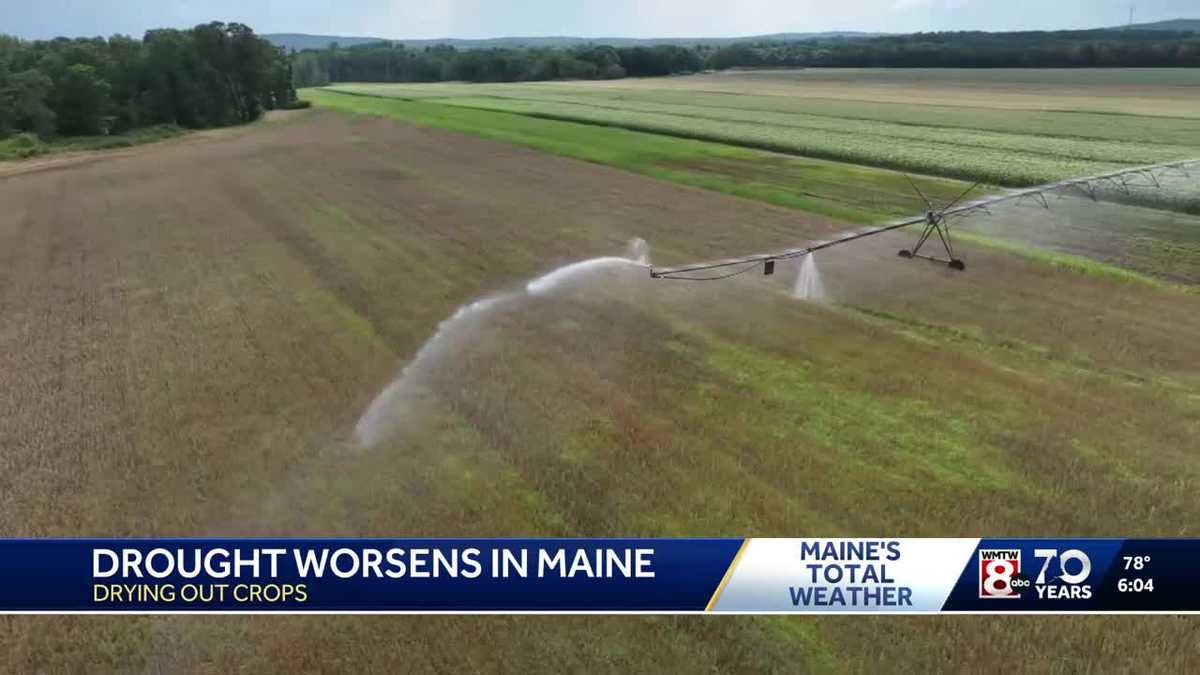 Flash drought across Maine, impacting crops and water supplies