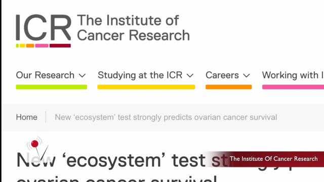 New Ovarian Cancer Test Will Determine Survival Prognosis   Dd3f3616 04f0 4e74 96a3 Fc541005f244 Image 