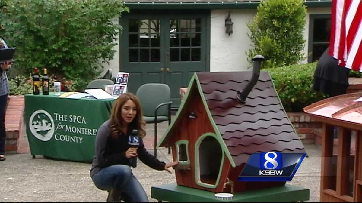 Custom dog homes benefit rescued animals