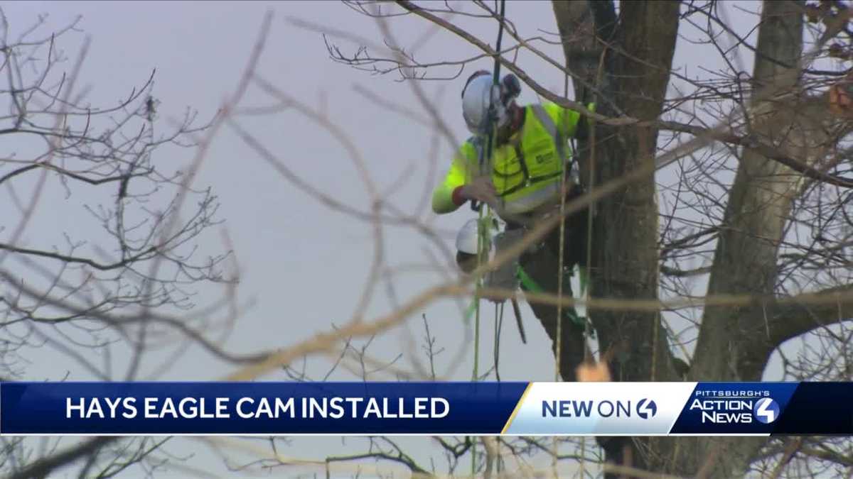 Hays Eagle cam installed