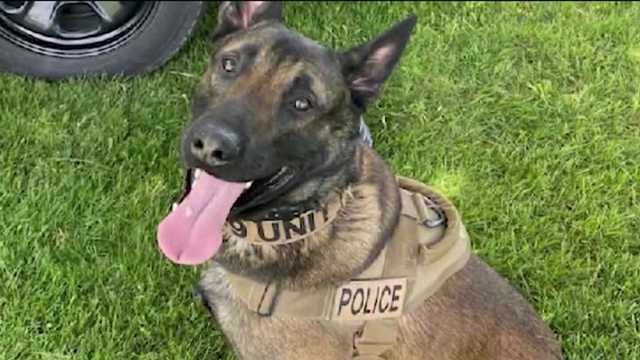 Derry Borough disbands K9 unit after K9 officer euthanized - Vimarsana News