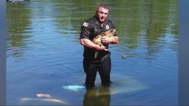 A Hero in the Water: The Incredible Rescue of a Trapped Dog by Officer ...