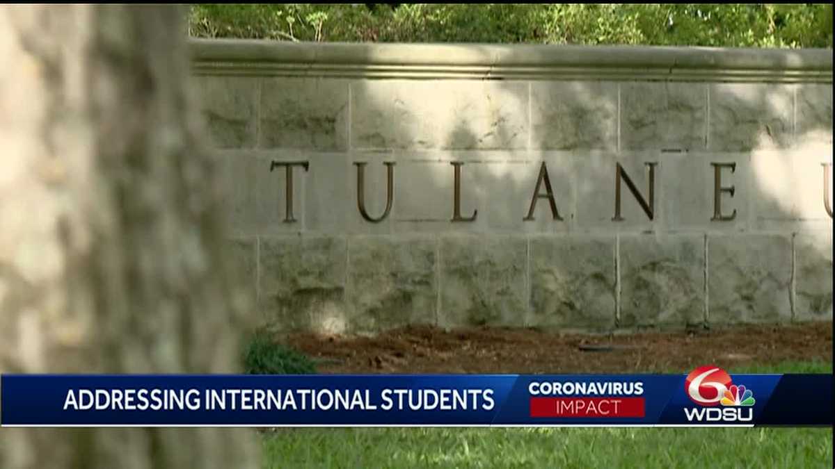 tulane university common app