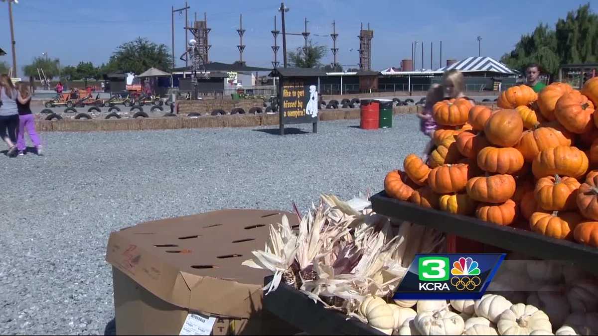 Dell Osso Farms has plenty of fall fun for everyone Dell Osso Farms has plenty of fall fun for everyone