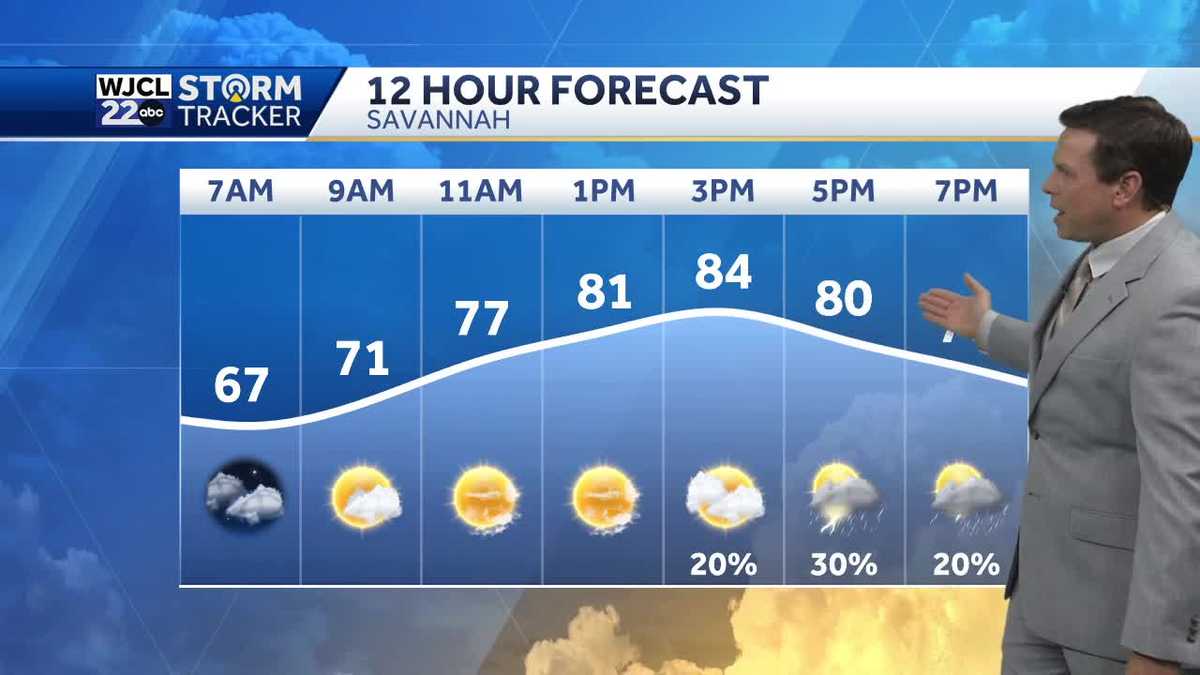 Isolated showers today, plus tracking hot weather by Friday - WJCL