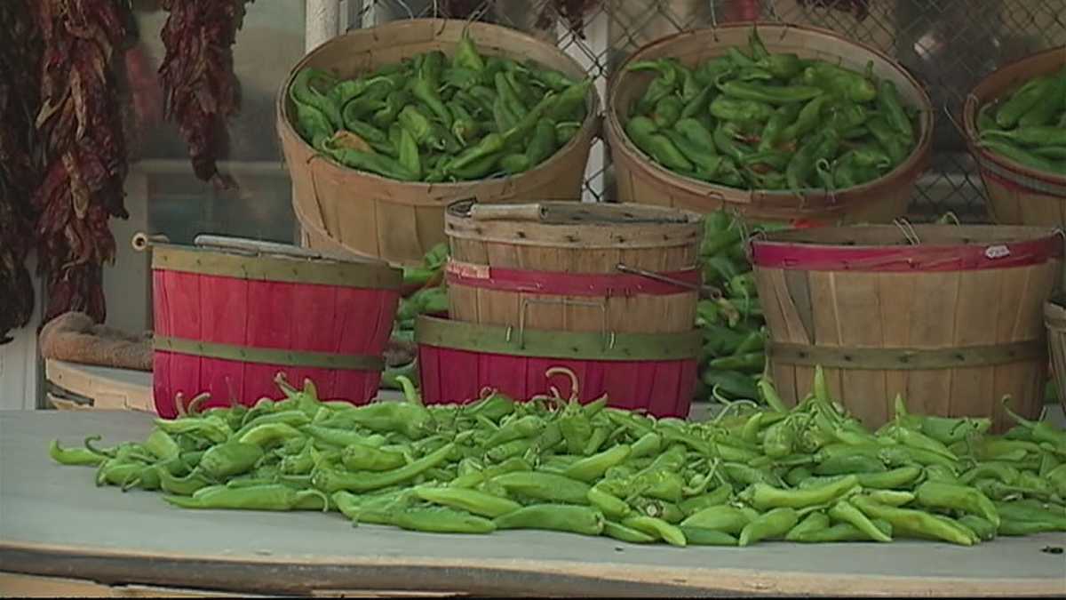 It's green chile season in New Mexico!