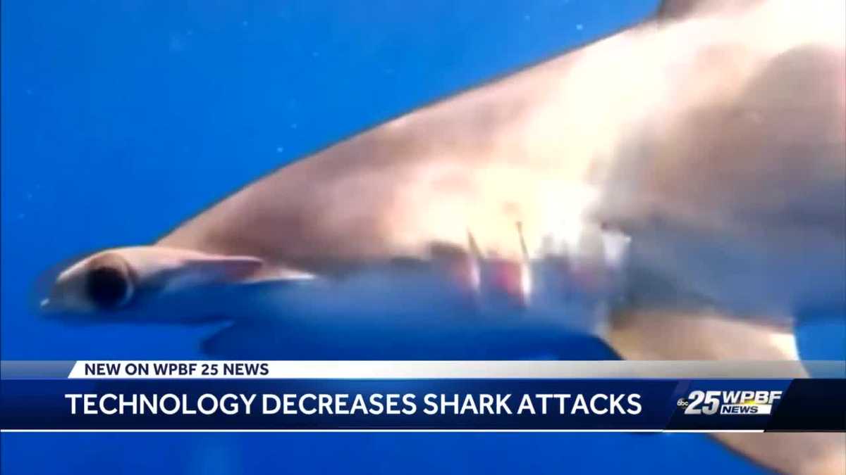 New technology in Florida decreases shark attacks