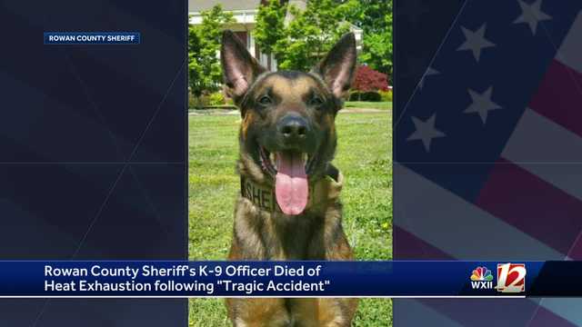 K-9 Kantor dies of heat exhaustion after left in patrol car, North Carolina authorities say - Vimarsana News