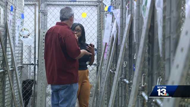 Shelby Animal Shelter Overcrowded with Animals - Vimarsana News