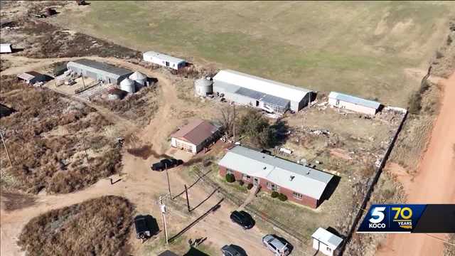 Man pleads guilty to killing 4 people at Hennessey marijuana farm - Vimarsana News