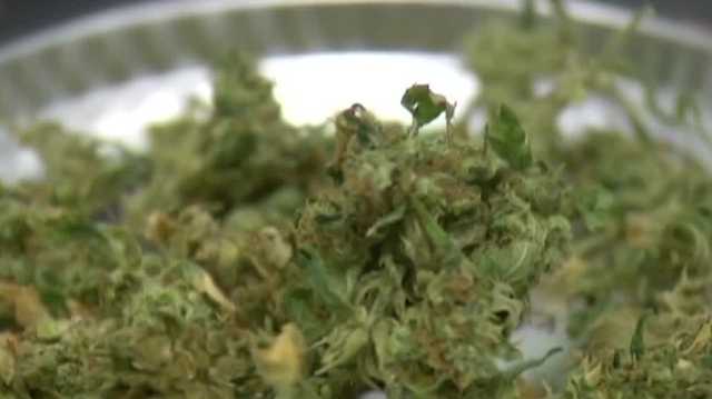 NH lawmakers debate how much could be made from legal marijuana - Vimarsana News