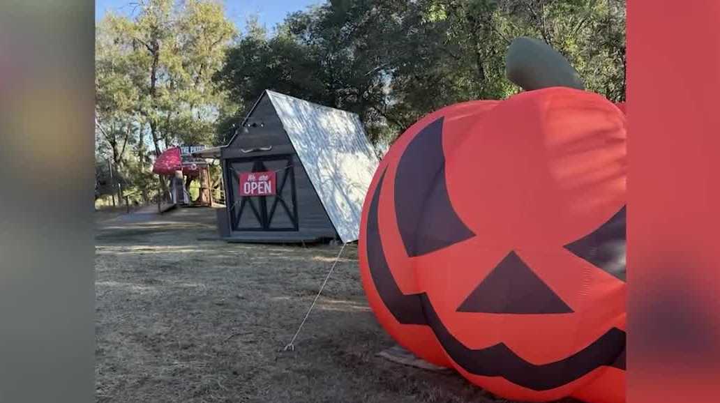 Giant $1,500 Halloween pumpkin decoration stolen from Loomis farm