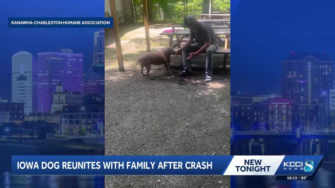 Iowa dog reunites with family after crash in West Virginia