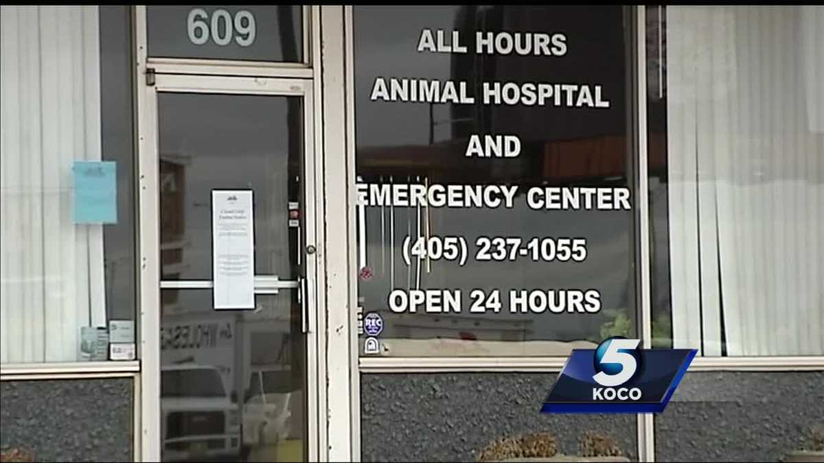 Moore veterinarian accused of allowing unlicensed employees to perform