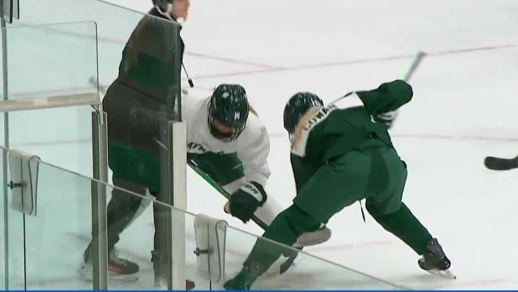 Dartmouth women's hockey off to fast start - WMUR